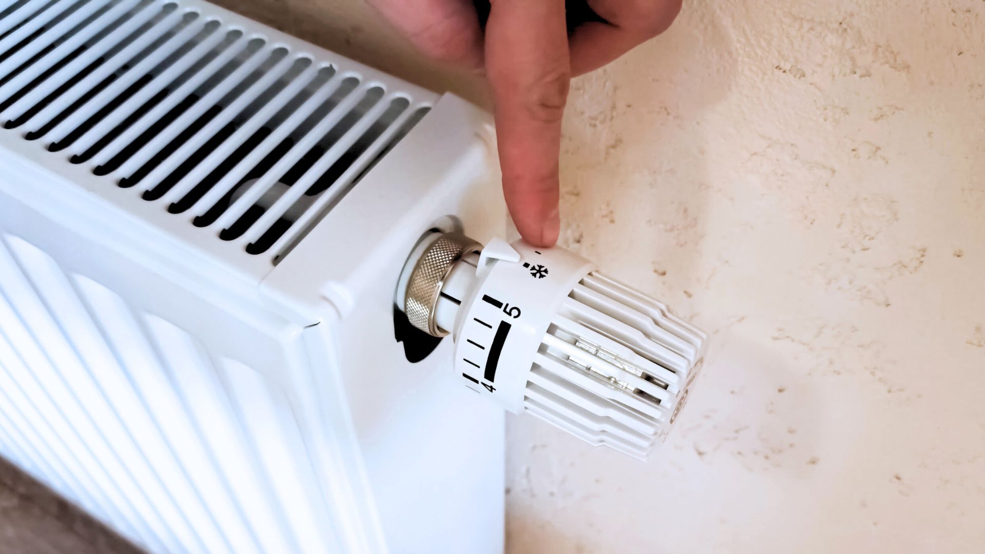 Umwelt und Mobilität